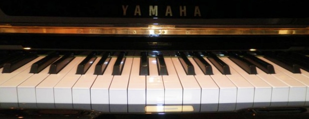 Fascinerend: waar pianospelen al niet goed voor is – HP/De Tijd